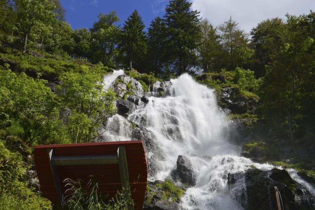 Waldlicht Titisee Εξωτερικό φωτογραφία