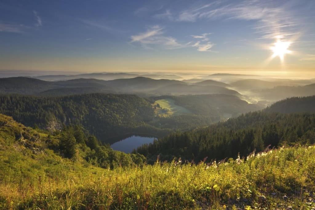 Waldlicht Titisee Εξωτερικό φωτογραφία