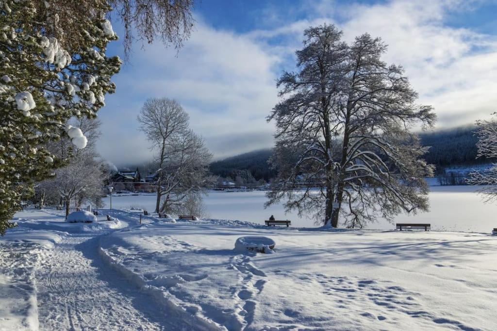 Waldlicht Titisee Εξωτερικό φωτογραφία